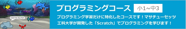 プログラミングコース